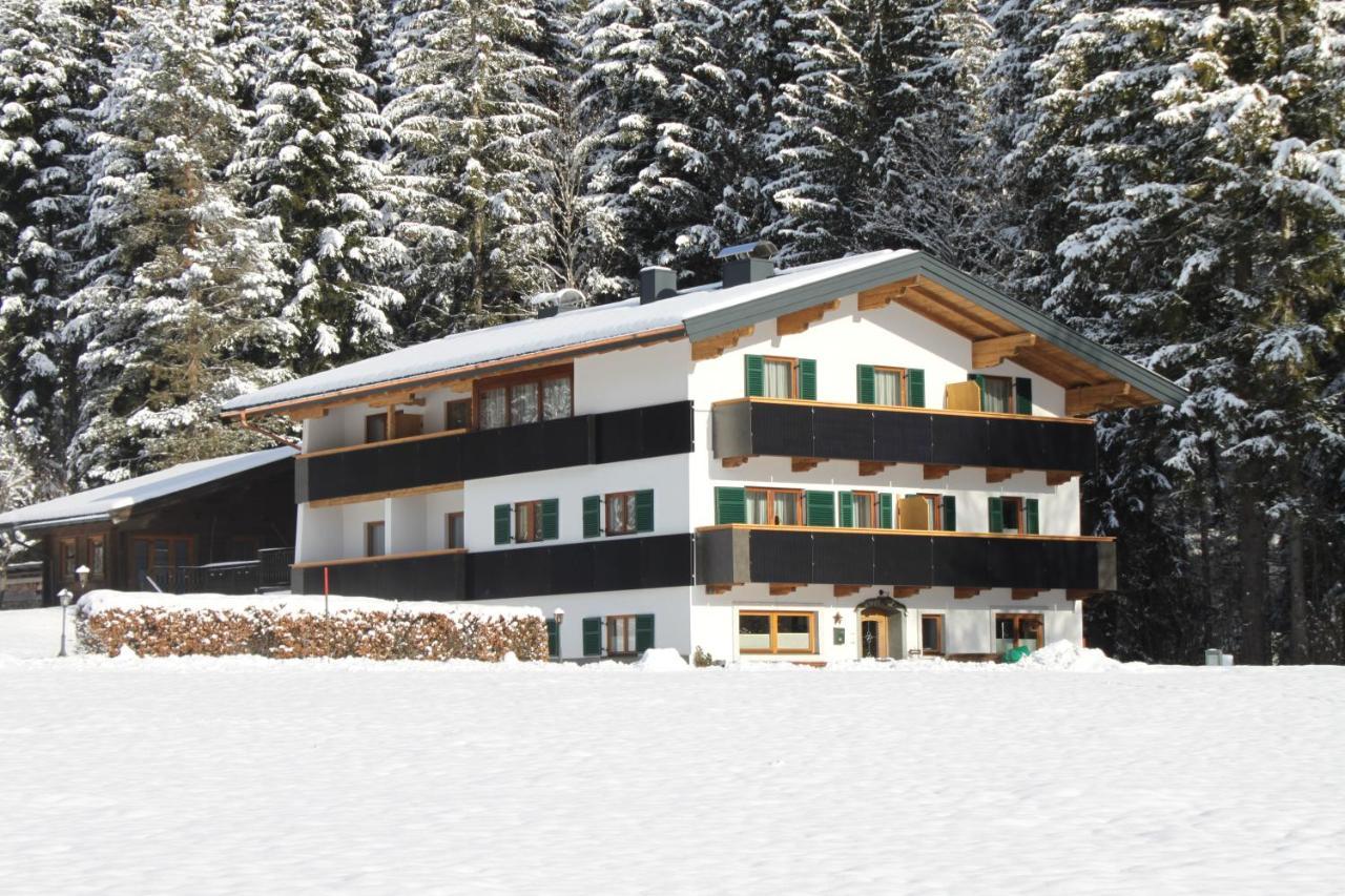 Otto Steiner Appartements Pension Ellmau & Wilder Kaiser Εξωτερικό φωτογραφία